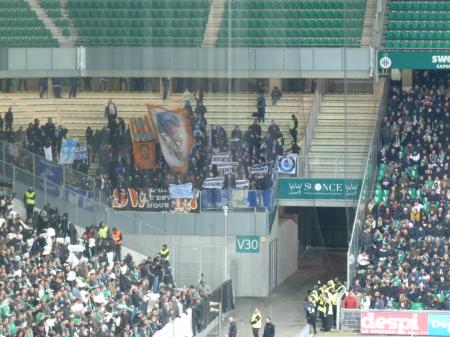 17-ASSE-OM 03.jpg